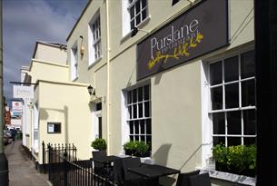 Purslane exterior