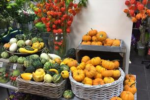 Selection of fruit and vegetables