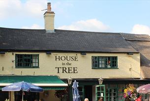 House in The Tree