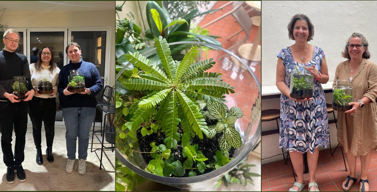 Terrarium in the middle of the photo surrounded by people who have completed the workshop holding their terrariums