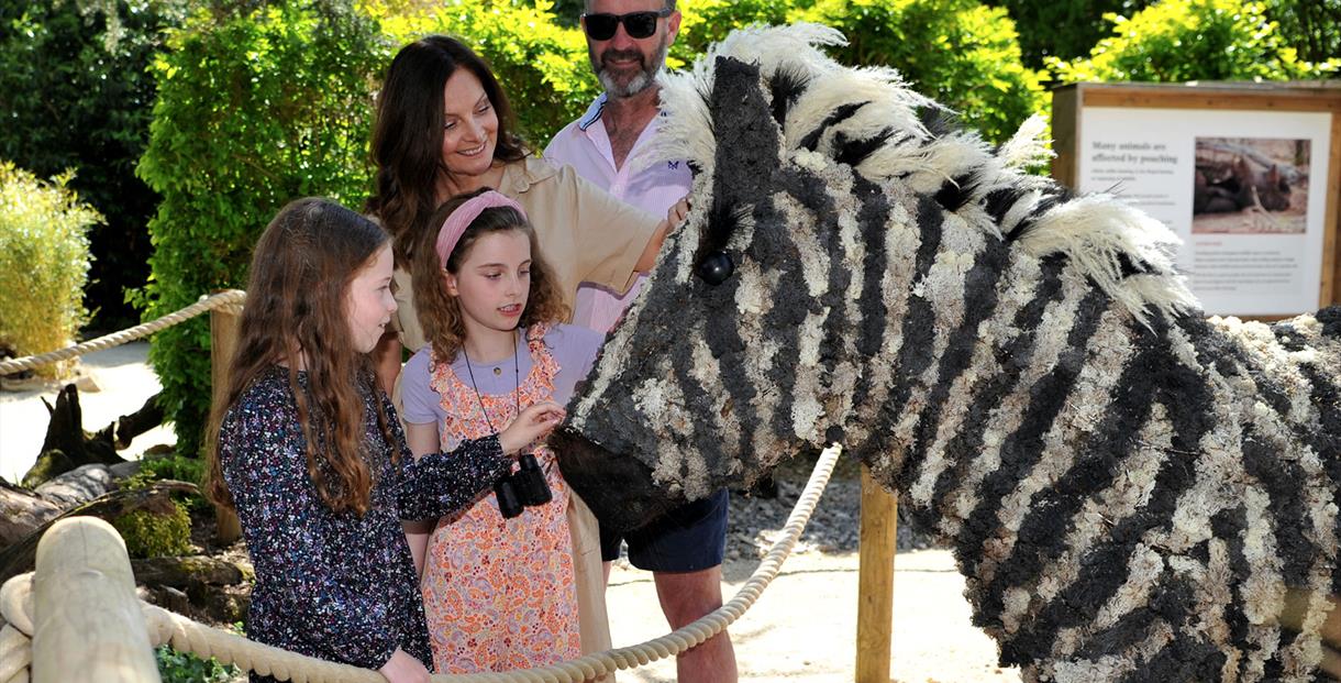 Sudeley's Animal Ark