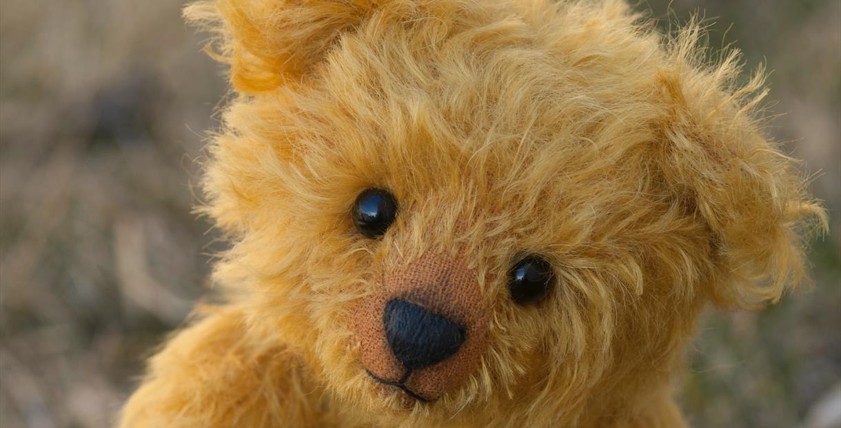 Teddy Bear Thursday - Cheltenham 