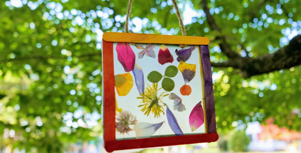 Picture hanging from a tree