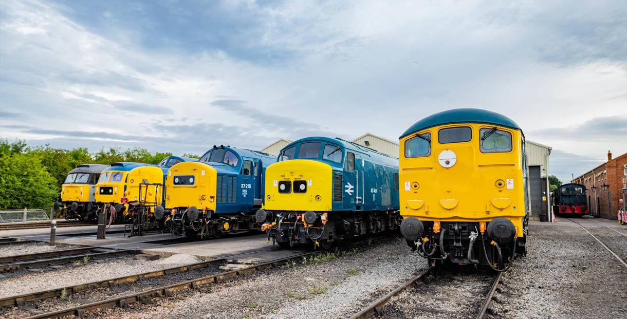 Iconic diesel locomotives of British Rail lined up on shed at Toddington (Picture- Jack Boskett)