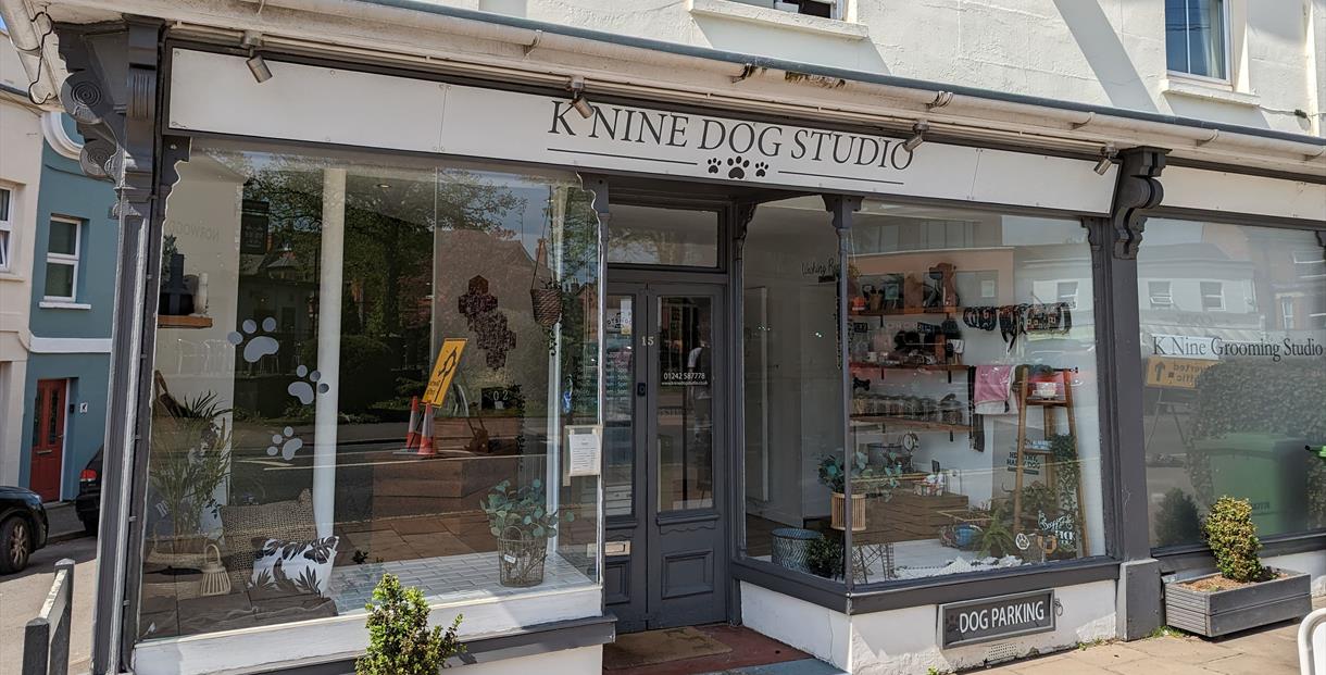 Knine dog studio exterior