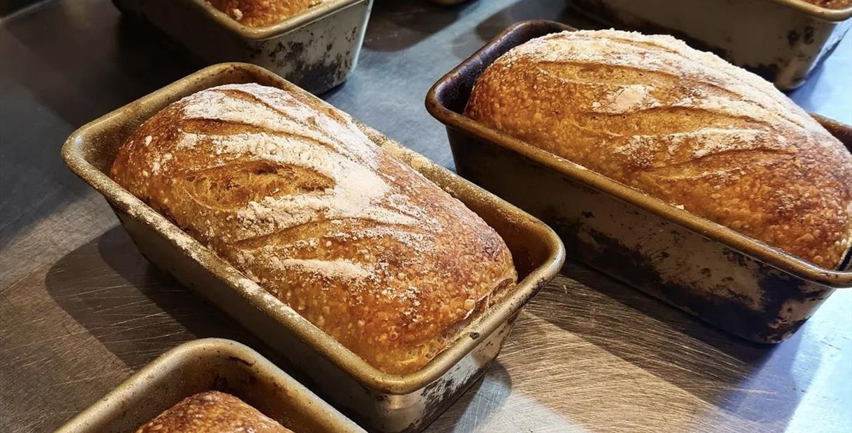 Bread
