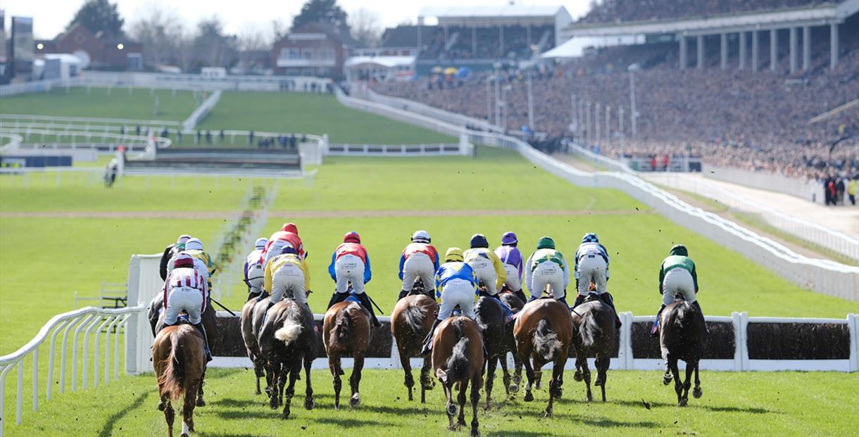 Laurie Potter News Cheltenham Races Dates 2025