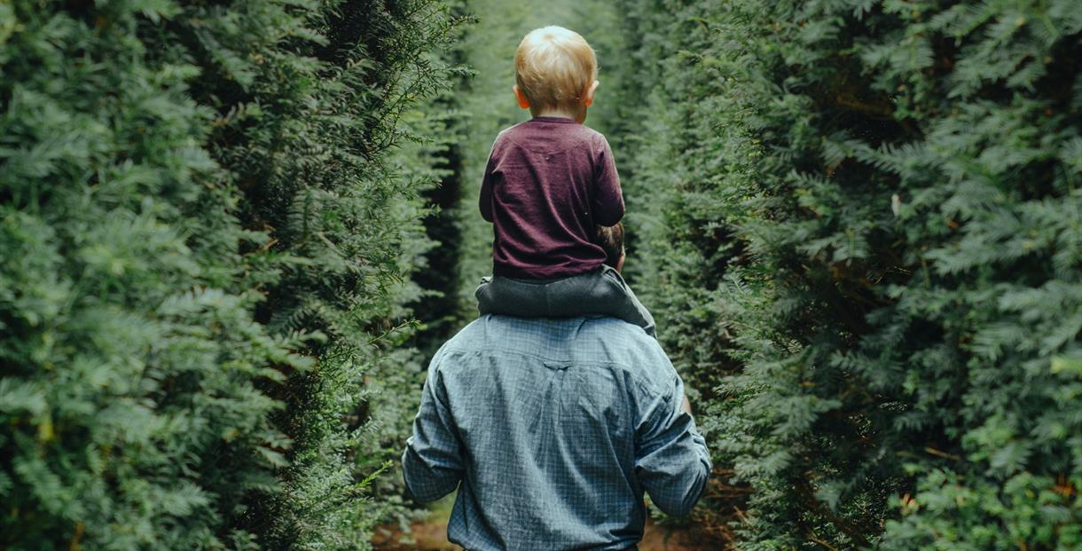 Child sat on father's shoulders