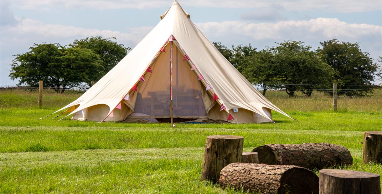 Camping & Glamping at Cotswold Farm Park