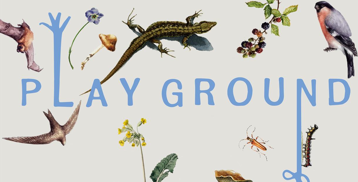 A graphic of bugs and animals surrounding the word Play Ground