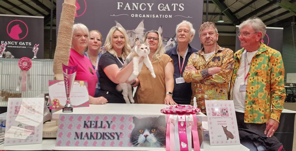 Fancy Cats Organisation Show