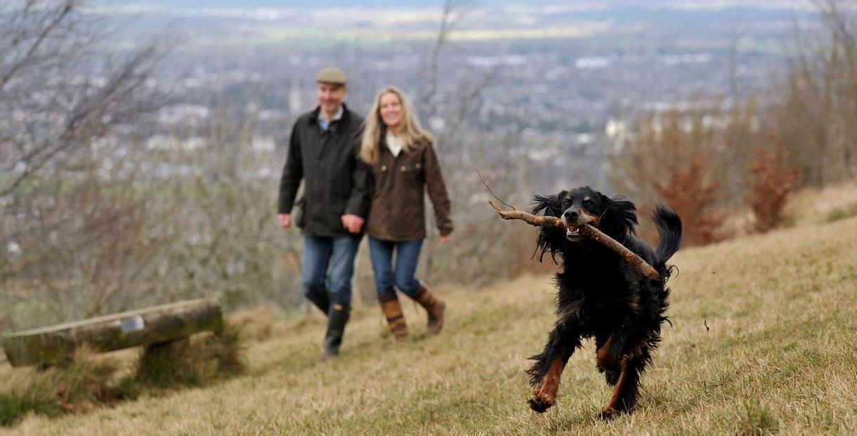 Walkers and dog up Leckhampton Hill