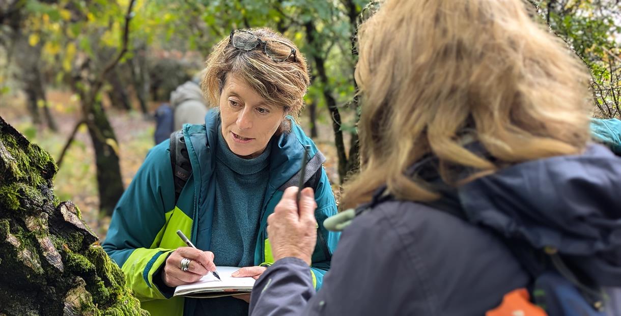 Lady looking at a tree and sketching a sketch book