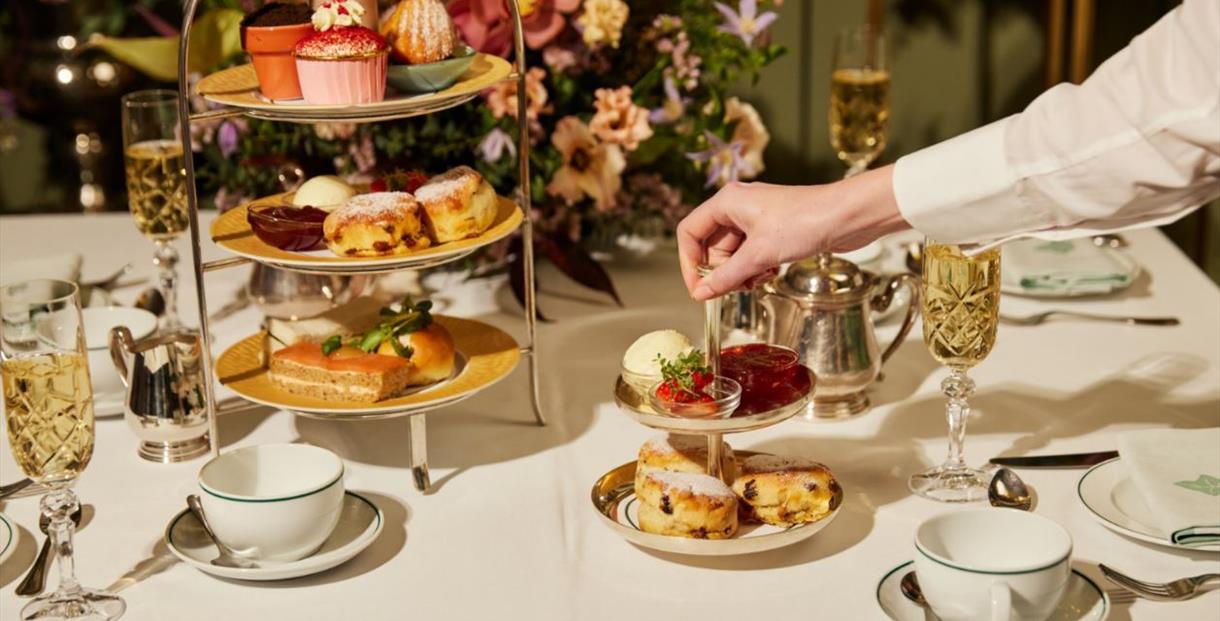 The ivy afternoon hot sale tea