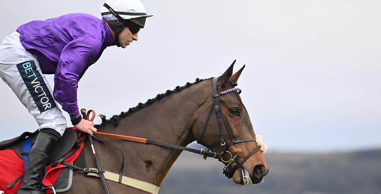 The Christmas Meeting at Cheltenham Racecourse