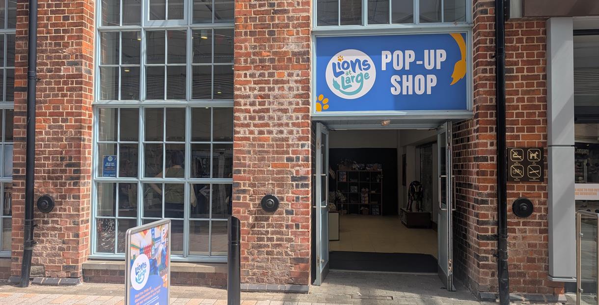 Lions at Large pop up shop front