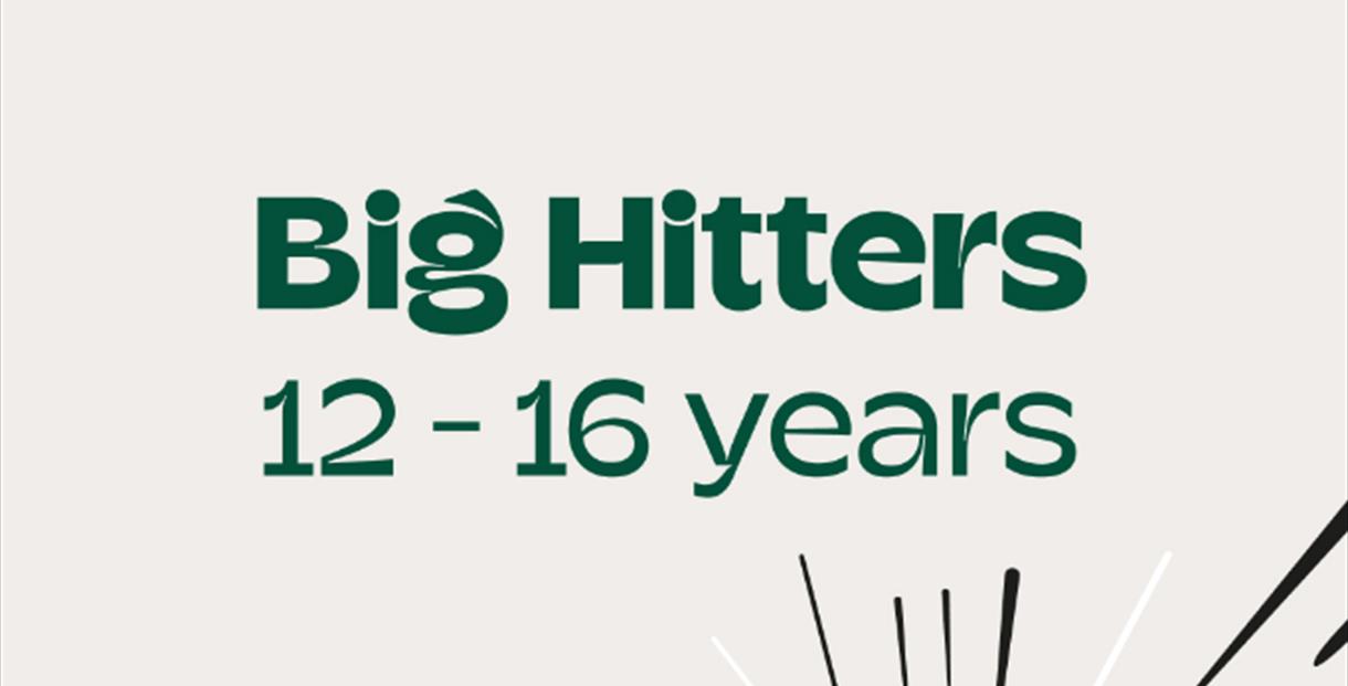 Big Hitters poster