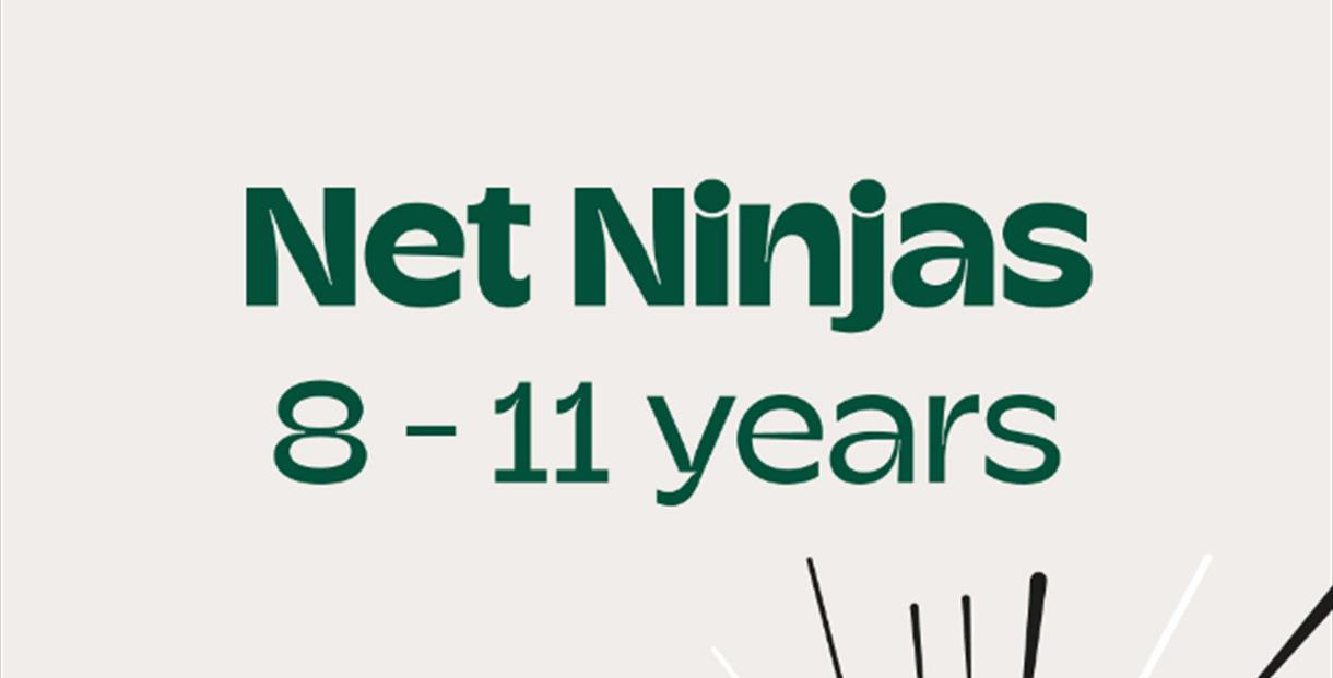 Net Ninjas Camp poster