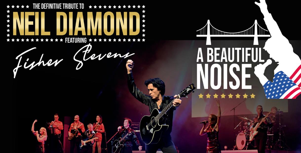 Neil Diamond tribute poster