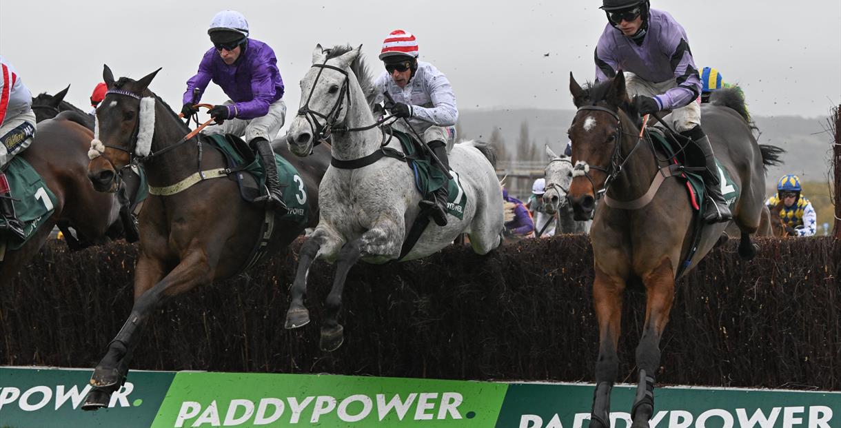 The November Meeting at Cheltenham Racecourse