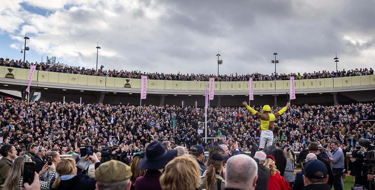 Cheltenham Festival crowds in the parade ring