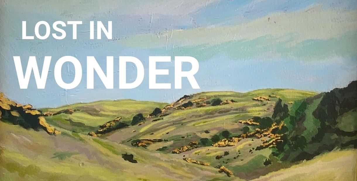 Lost in Wonder