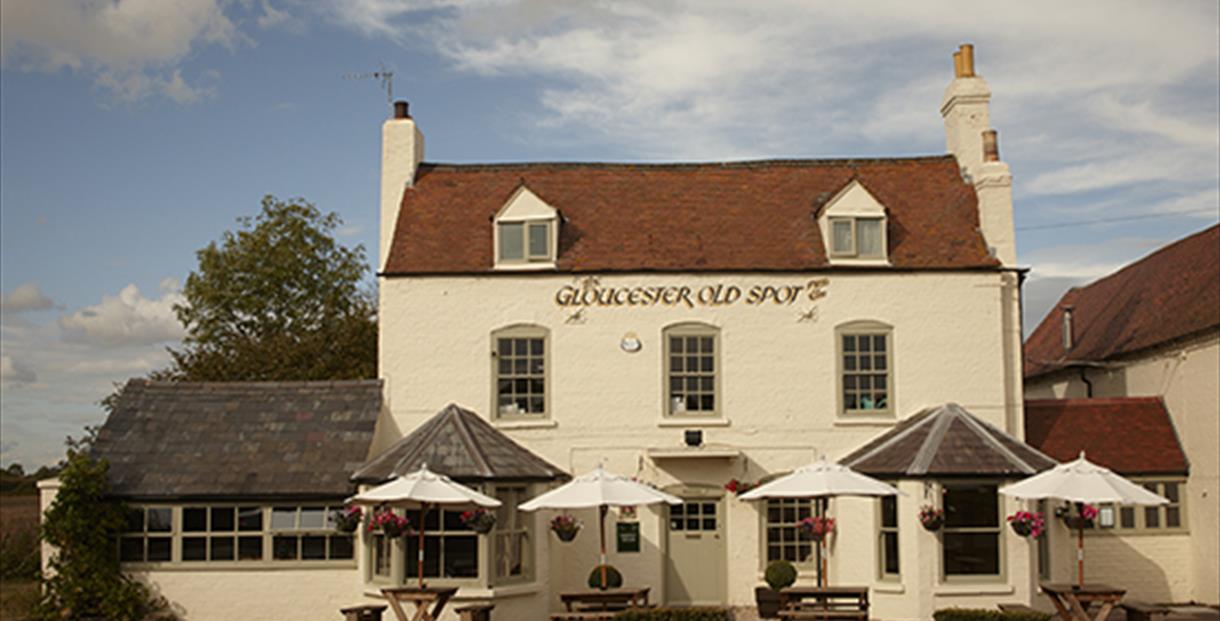 The Glos Old Spot, Cheltenham