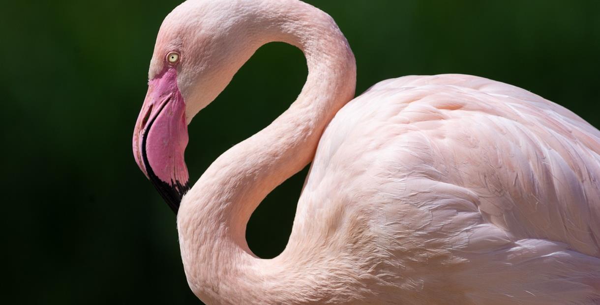 Slimbridge