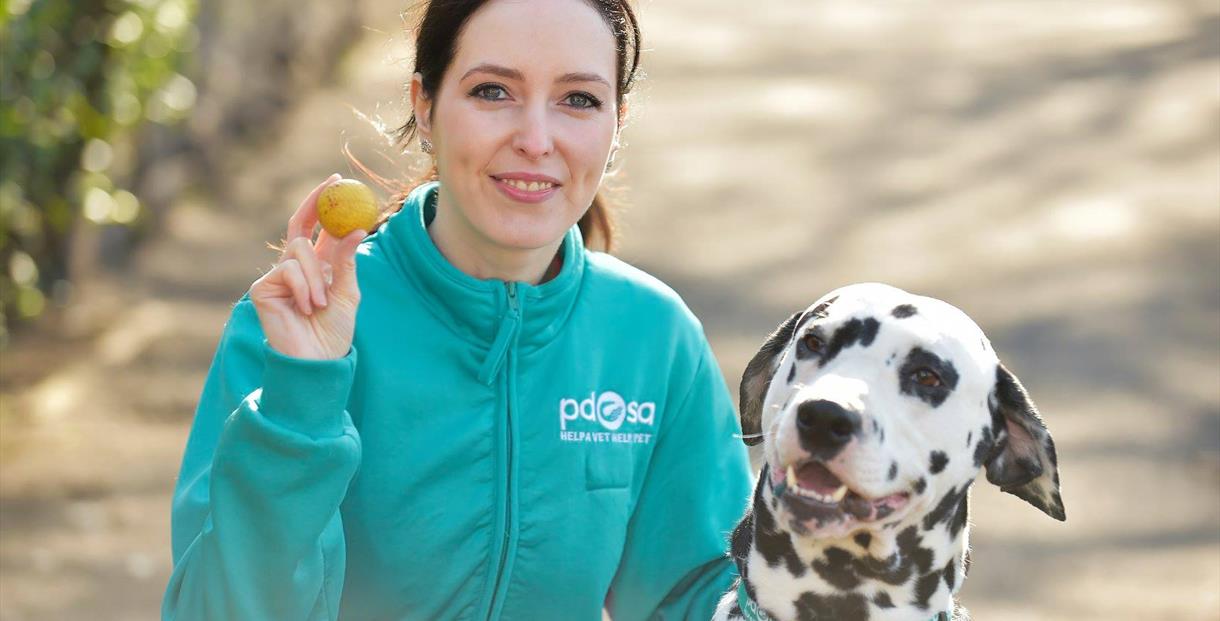 Women with a dalmation