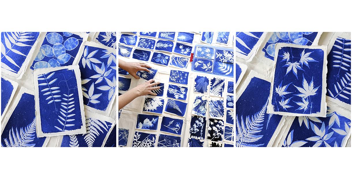 'Cyanotype Workshop' for beginners