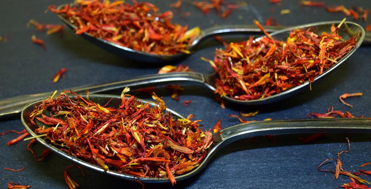 Saffron spice