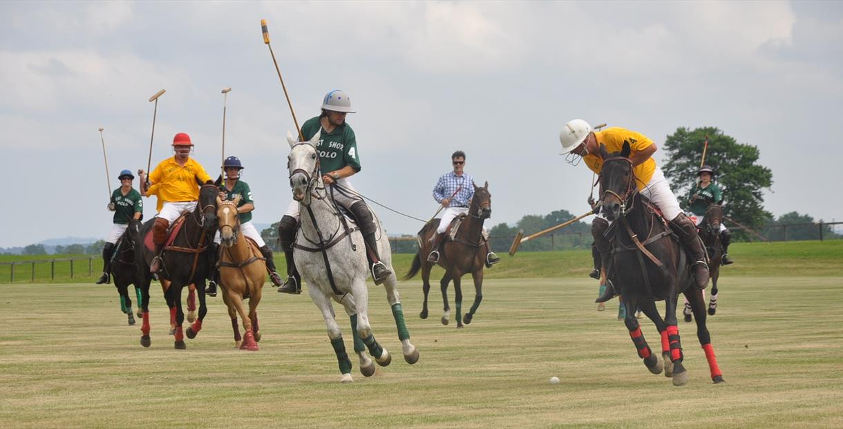 Learn polo at one of Prince Harry's clubs