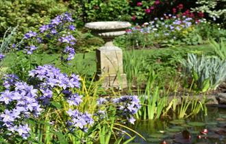 A Prestbury garden