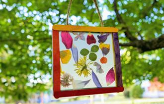 Picture hanging from a tree
