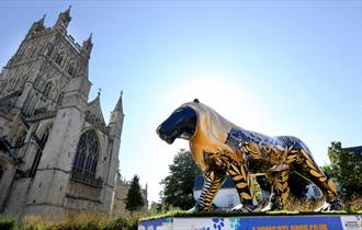 Lions at Large Farewell