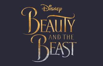 Beauty and The Beast (2017) poster