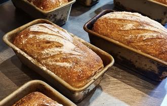 Bread