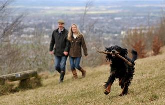 Walkers and dog up Leckhampton Hill