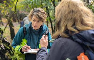 Lady looking at a tree and sketching a sketch book