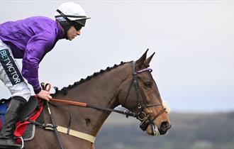 The Christmas Meeting at Cheltenham Racecourse