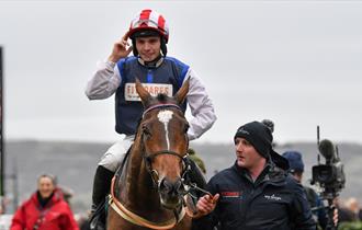 New Year's Day Racing at Cheltenham Racecourse