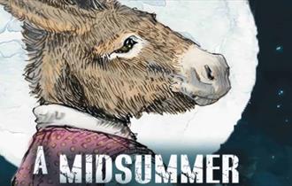 a midsummers night dream