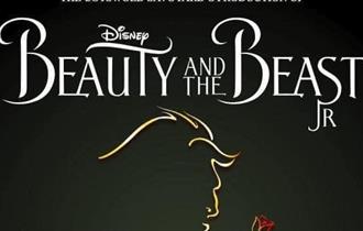 Beauty and the Beast Junior poster