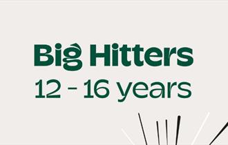 Big Hitters poster