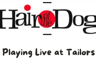 Hair of the Dog Live at Tailors
