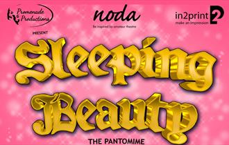 Sleeping Beauty The Pantomime poster