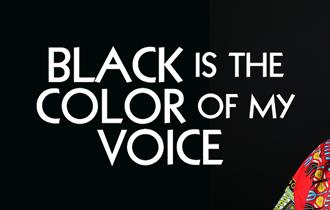 Black Is The Color Of My Voice