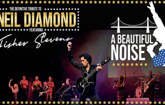 Neil Diamond tribute poster