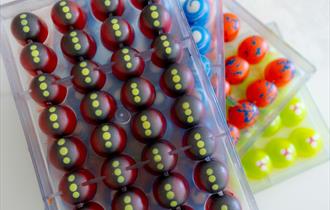 Festive Chocolate Making at Ellenborough Park