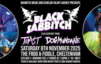 BLACK SABB***H - Live at the Frog and Fi
